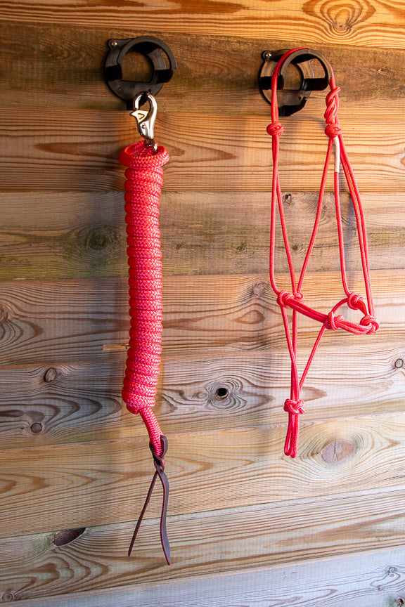 Foundation Trainingset: Premium 4-knoops stijf halster + lead