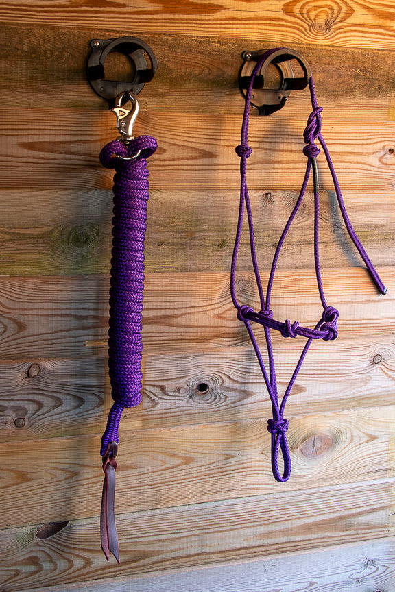 Foundation Trainingset: Premium 4-knoops stijf halster + lead