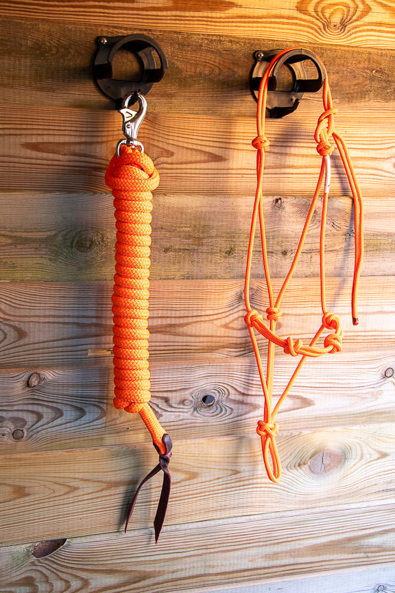 Foundation Trainingset: Premium 4-knoops stijf halster + lead