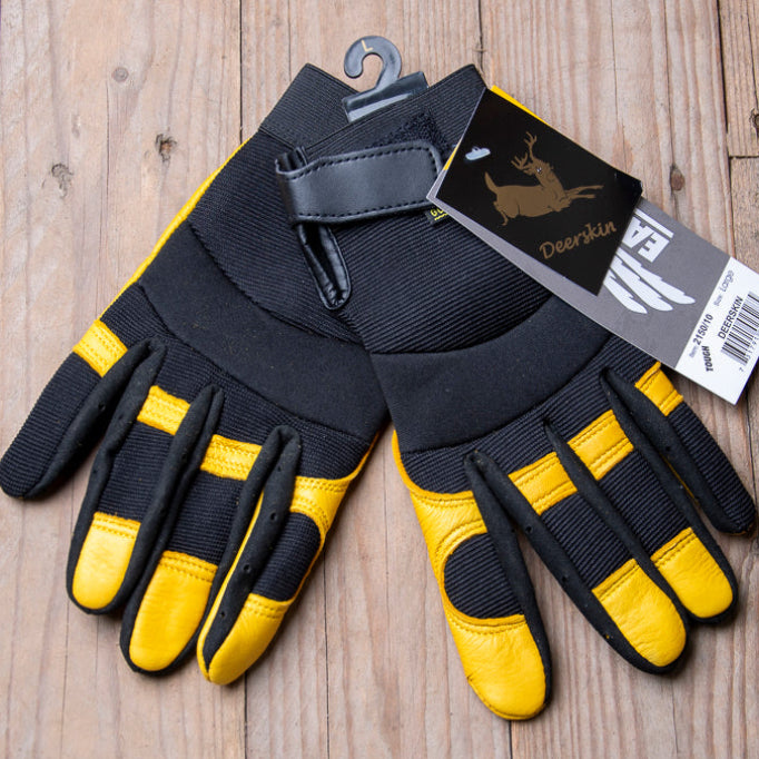Majestic Golden Eagle gloves