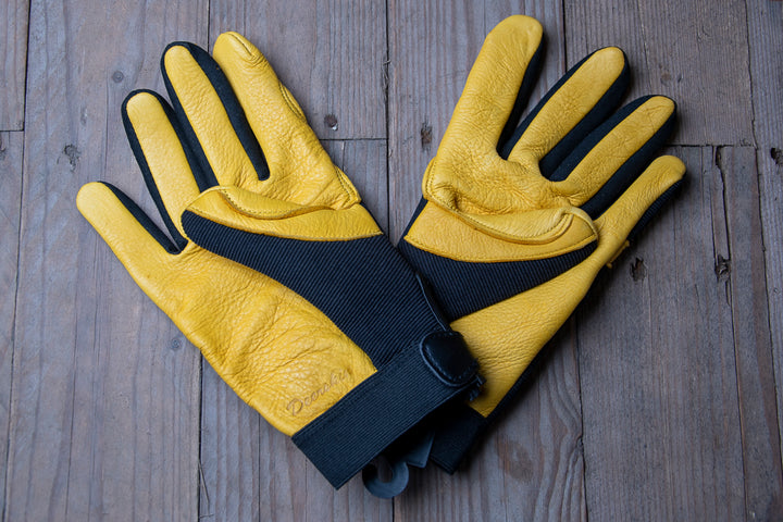Majestic Golden Eagle gloves