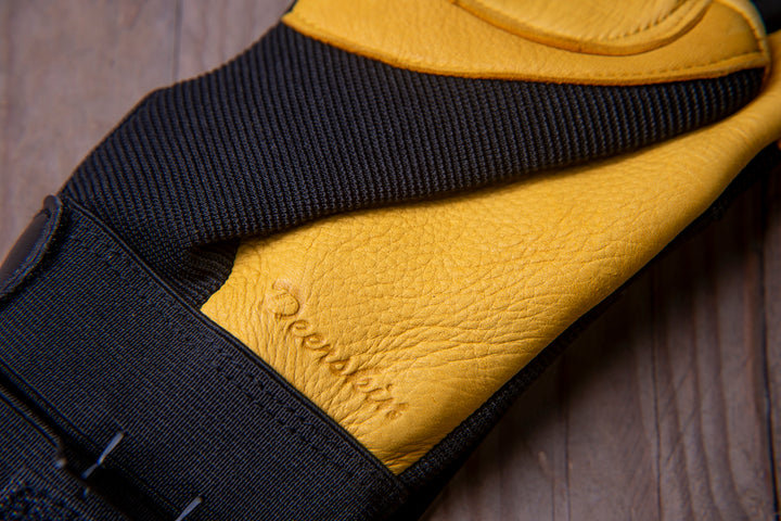 Majestic Golden Eagle gloves