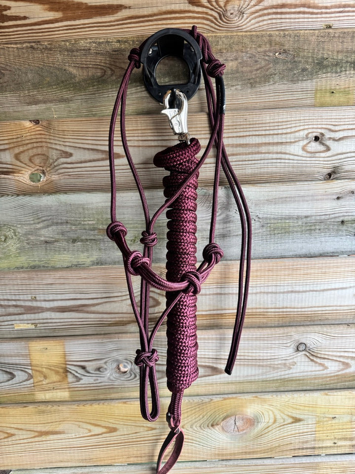 Foundation Trainingset: Premium 4-knoops stijf halster + lead
