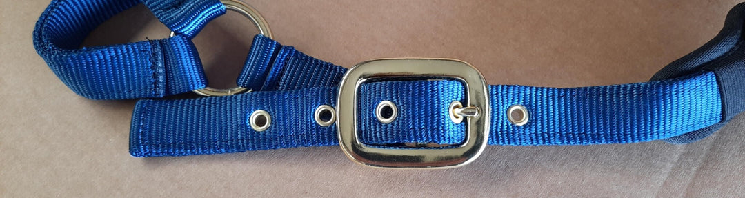 Dubbel Laags Halster met Neopreen – Full